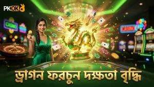 ৫০টি সেশনের অডিট থেকে ড্রাগন ফরচুন দক্ষতা উন্নত করুন
