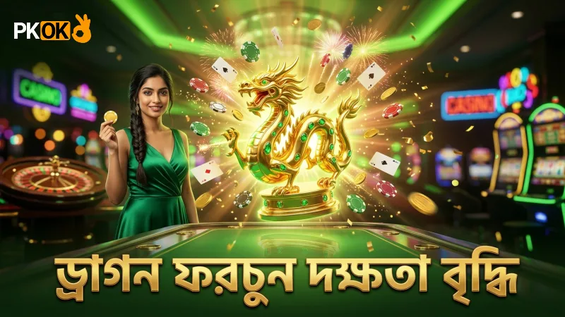 ড্রাগন ফরচুন – নতুনদের জন্য সম্পূর্ণ গাইড 3 ৫০টি সেশনের অডিট থেকে ড্রাগন ফরচুন দক্ষতা উন্নত করুন